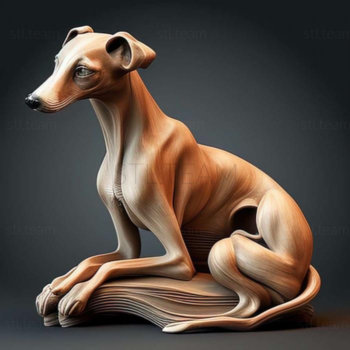 3D model Whippet dog (STL)